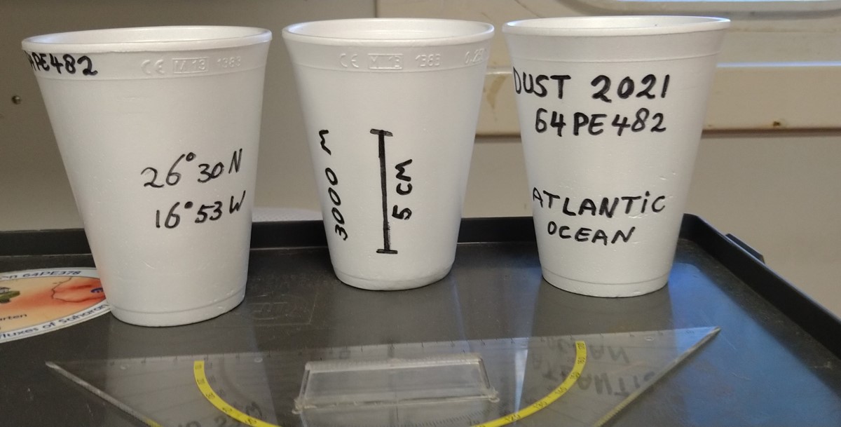 Decorated Styrofoam cups before diving down to 3000m Decorated Styrofoam cups before diving down to 3000m