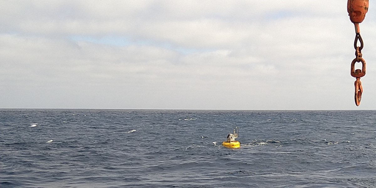 Buoy Carmen is re-deployed and ready for another year of collecting dust Buoy Carmen is re-deployed and ready for another year of collecting dust