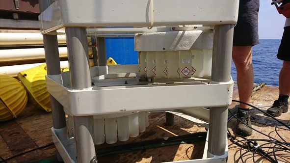 meddust18-catch meddust18-catch