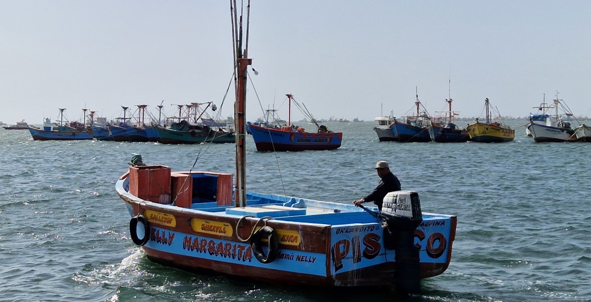 A colourful fishing boat leaves the harbour of Paracas A colourful fishing boat leaves the harbour of Paracas