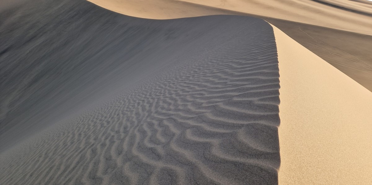 Ripples on the windy side of the dune Ripples on the windy side of the dune