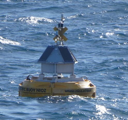 news-Buoy-in-action1 news-Buoy-in-action1