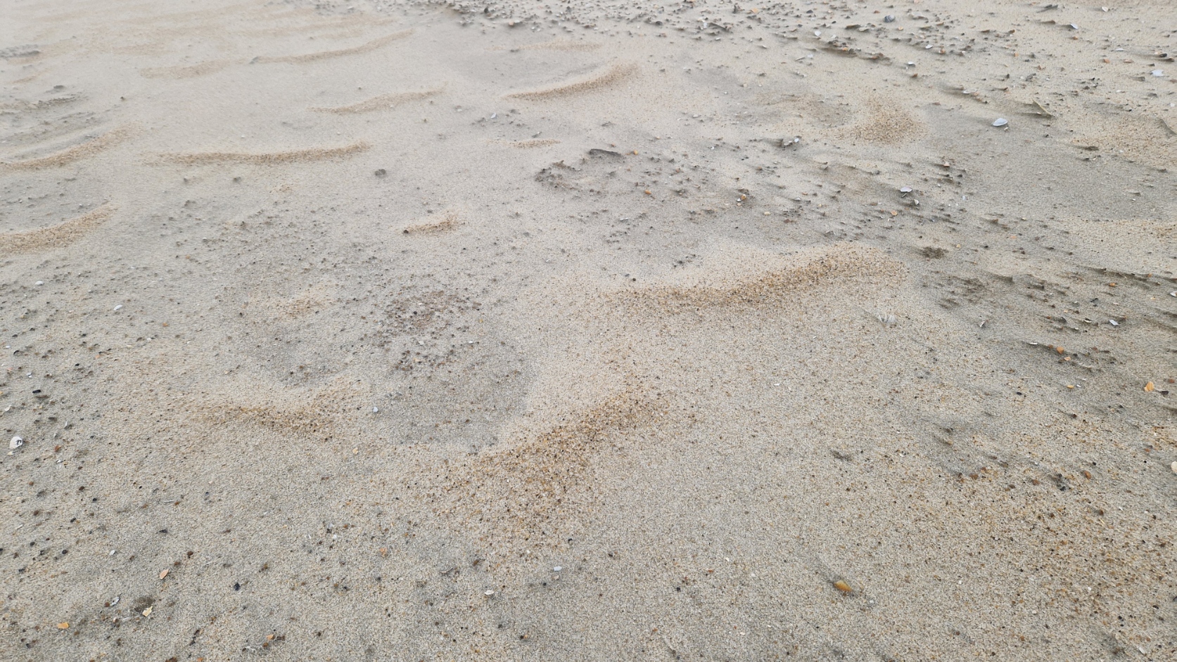 news-dec25-beachprocesses